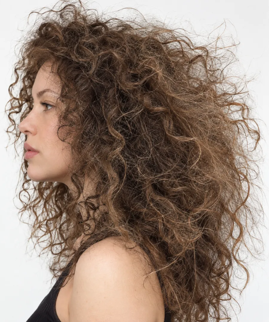 Curly hair dry and undefined